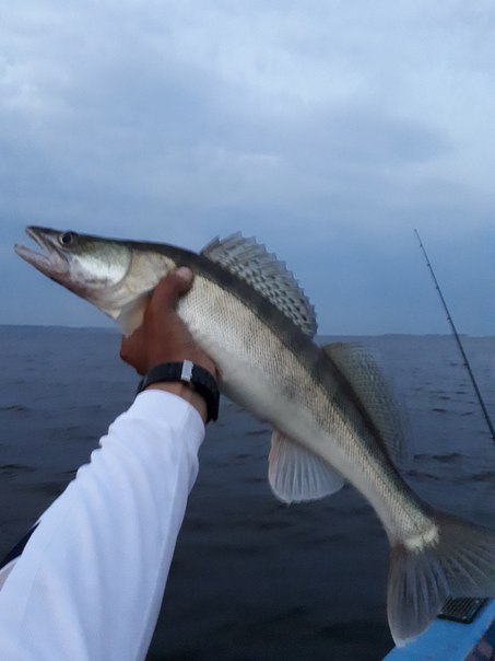 Посетил базу KZN FISHING в очень интересной компании