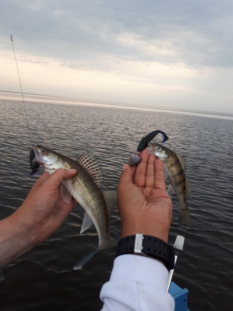 Посетил базу KZN FISHING в очень интересной компании