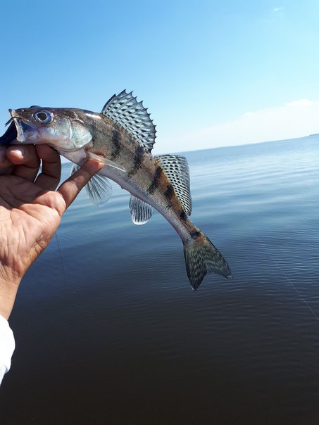 Посетил базу KZN FISHING в очень интересной компании