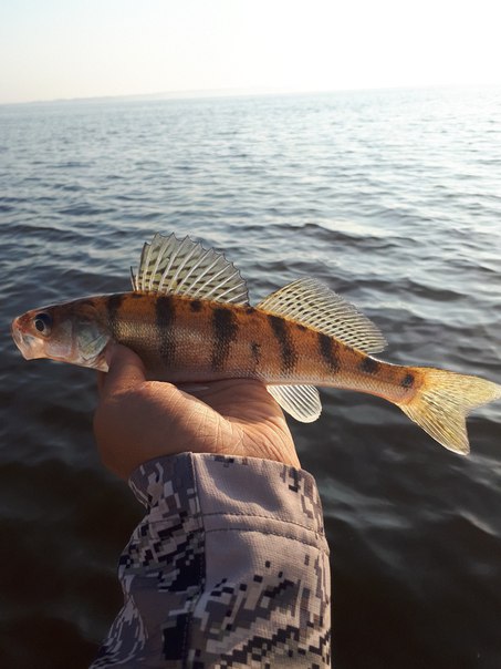 Посетил базу KZN FISHING в очень интересной компании