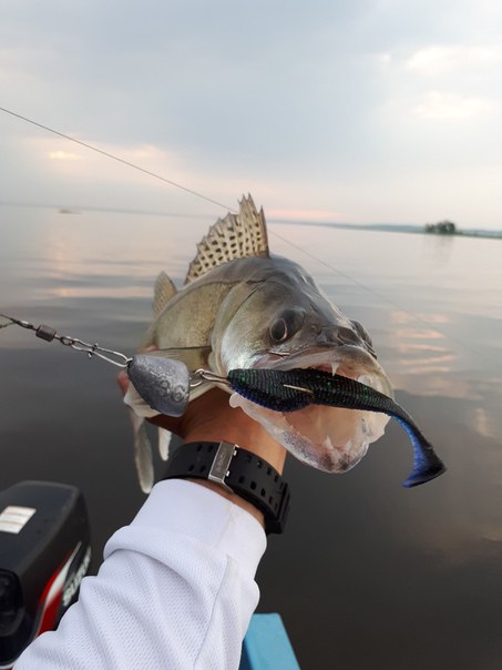 Посетил базу KZN FISHING в очень интересной компании Посетил базу KZN FISHING в очень интересной компании