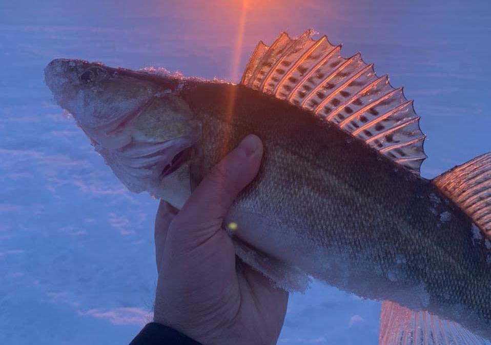 Утро на базе KZN FISHING