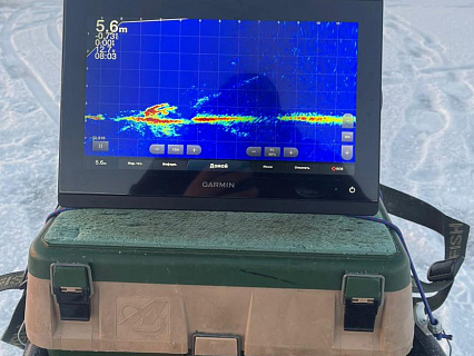 Индивидуальная рыбалка с Panoptix Livescope System